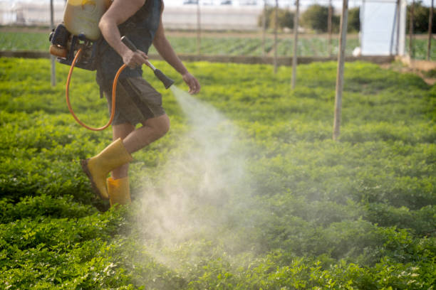 Best Local Pest Control Services  in Marlene Village, OR
