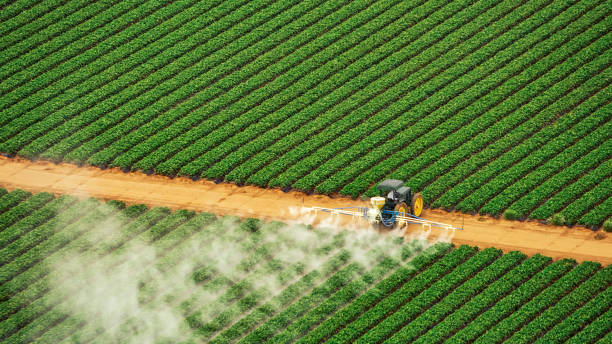 Best Pest Removal Services  in Marlene Village, OR