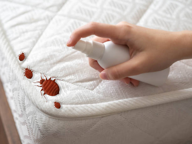 Best Best Pest Control Companies  in Marlene Village, OR