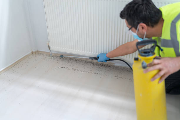 Best Pest Prevention Services  in Marlene Village, OR